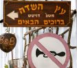 בקתות עץ השדה – במושב בן עמי