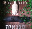 גיים נס משחקיה