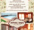 פלייר